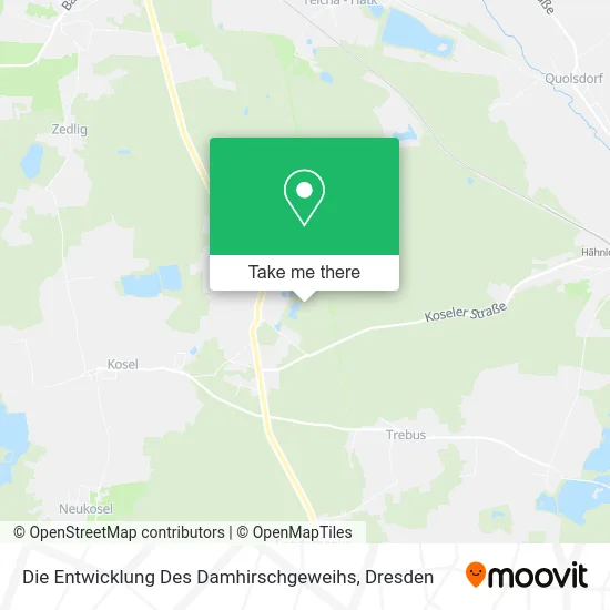 Карта Die Entwicklung Des Damhirschgeweihs