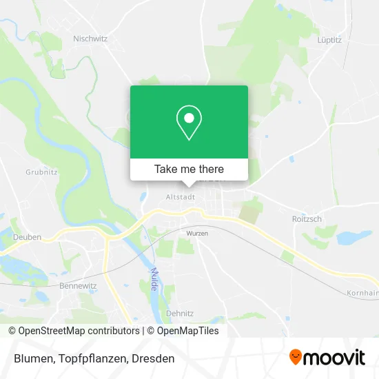 Карта Blumen, Topfpflanzen