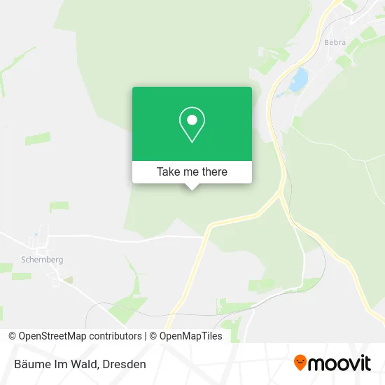 Карта Bäume Im Wald