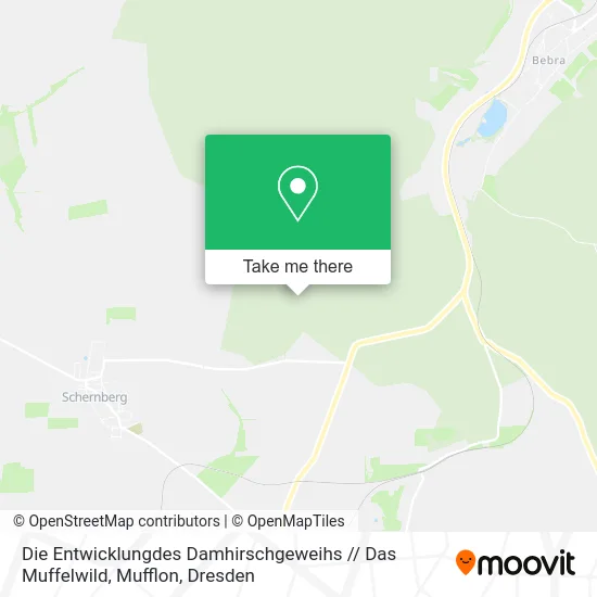 Карта Die Entwicklungdes Damhirschgeweihs // Das Muffelwild, Mufflon