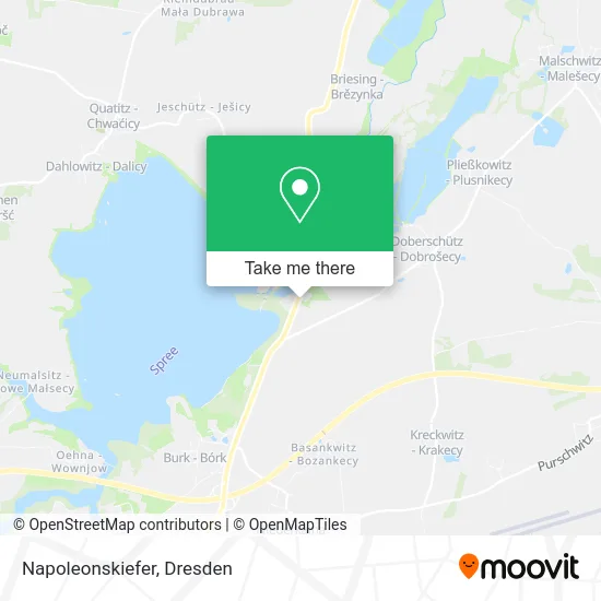 Карта Napoleonskiefer