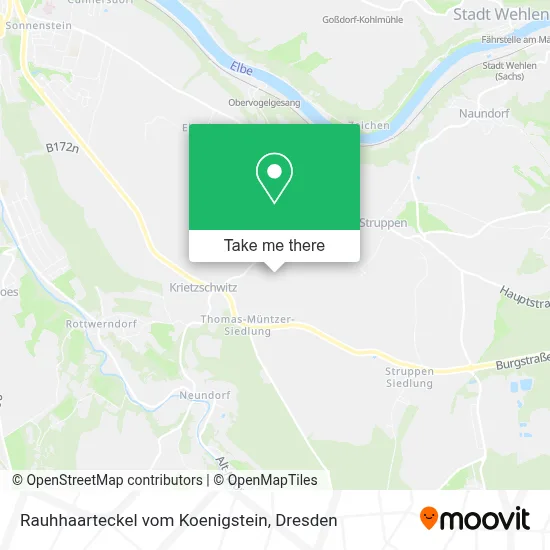 Rauhhaarteckel vom Koenigstein map