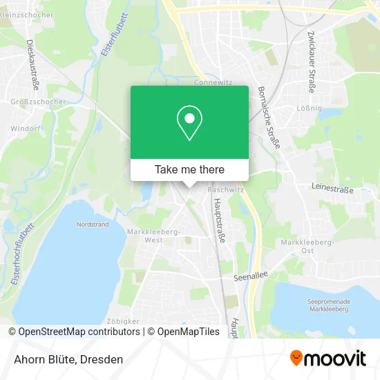 Ahorn Blüte map