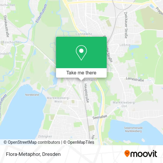 Карта Flora-Metaphor