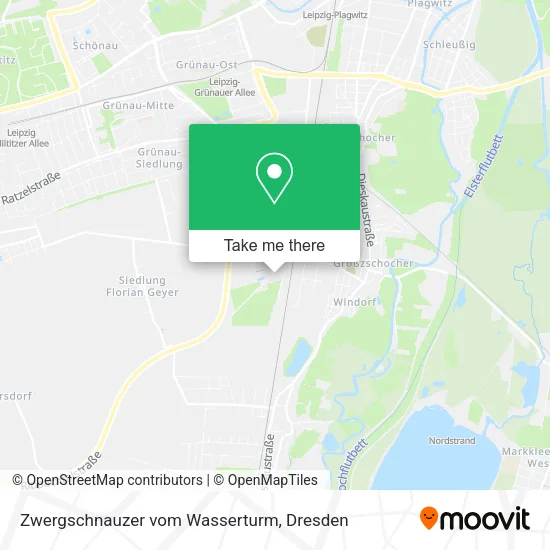 Карта Zwergschnauzer vom Wasserturm