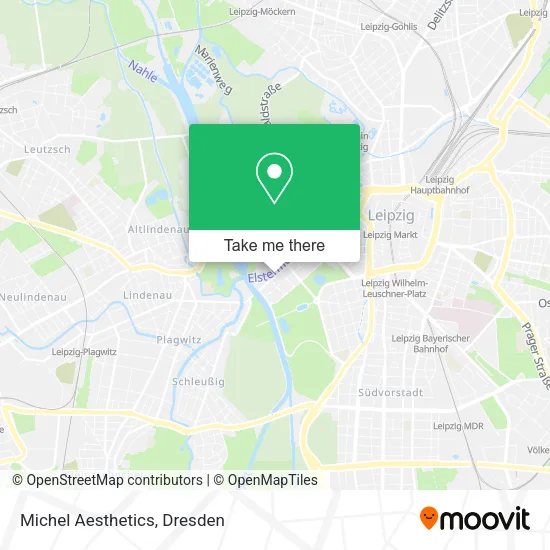 Michel Aesthetics map
