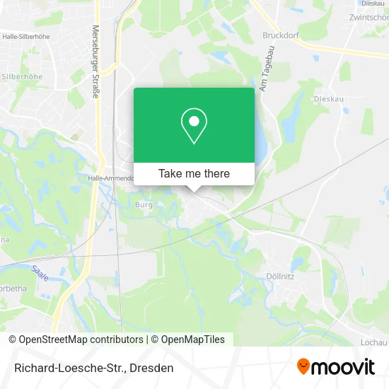 Карта Richard-Loesche-Str.