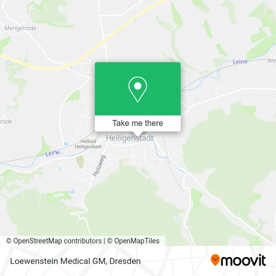 Карта Loewenstein Medical GM