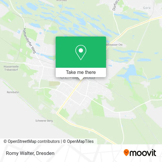 Карта Romy Walter