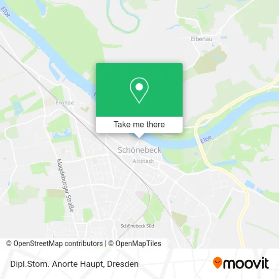Карта Dipl.Stom. Anorte Haupt