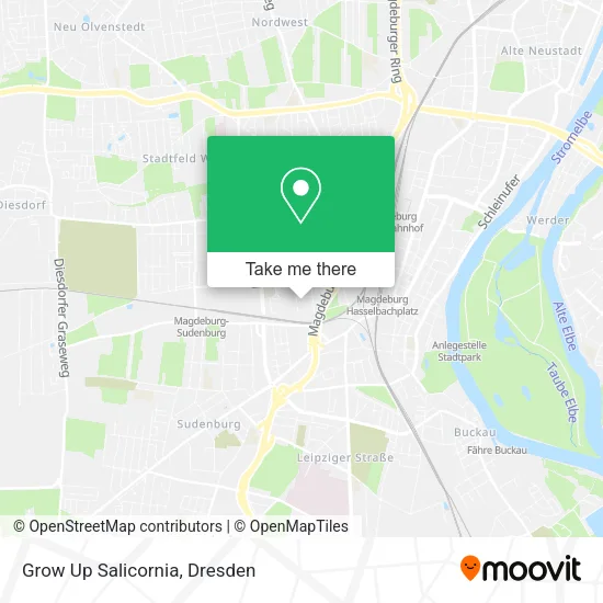 Карта Grow Up Salicornia