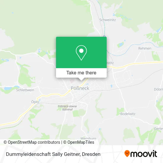 Карта Dummyleidenschaft Sally Geitner