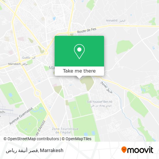 قصر أنيقة رياض map