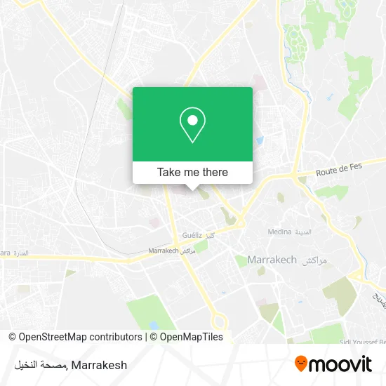 مصحة النخيل map
