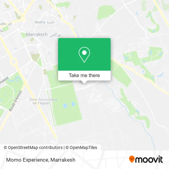Momo Experience plan
