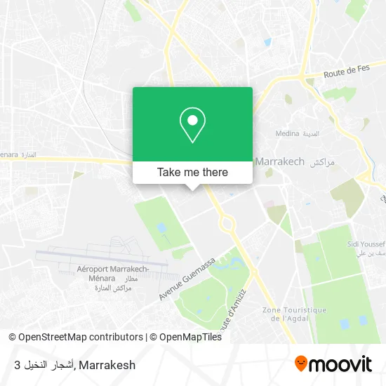 أشجار النخيل 3 map