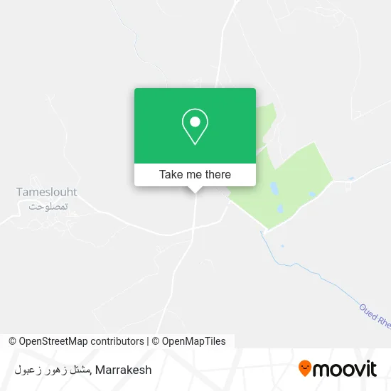 مشتل زهور زعبول map