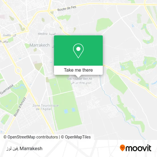 فين لوز plan