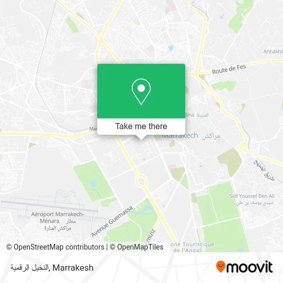 النخيل الرقمية plan