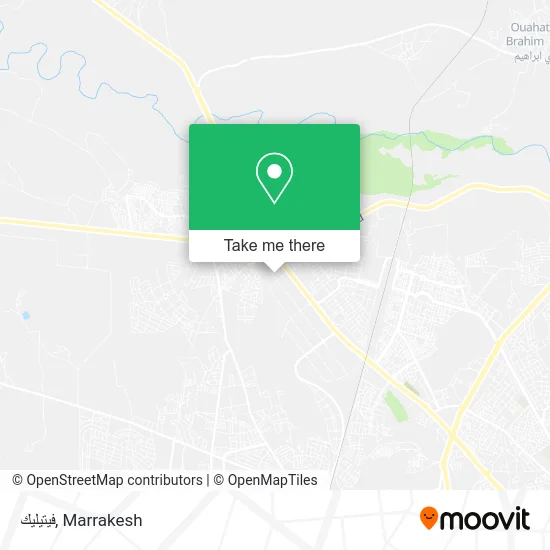 فيتيليك plan