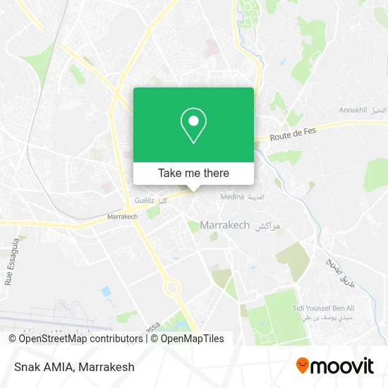 Snak AMIA map