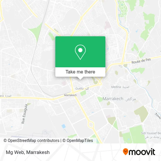 Mg Web map
