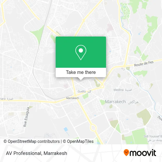 AV Professional map