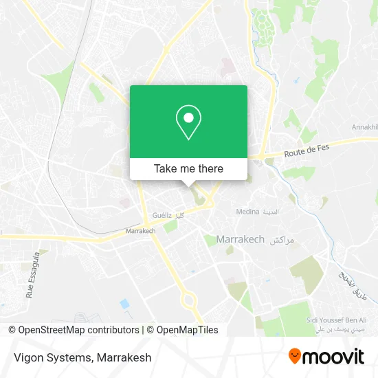 Vigon Systems map
