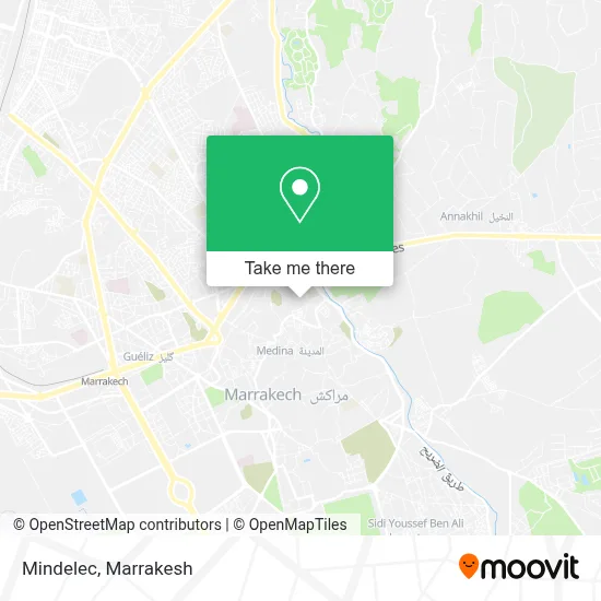 Mindelec map