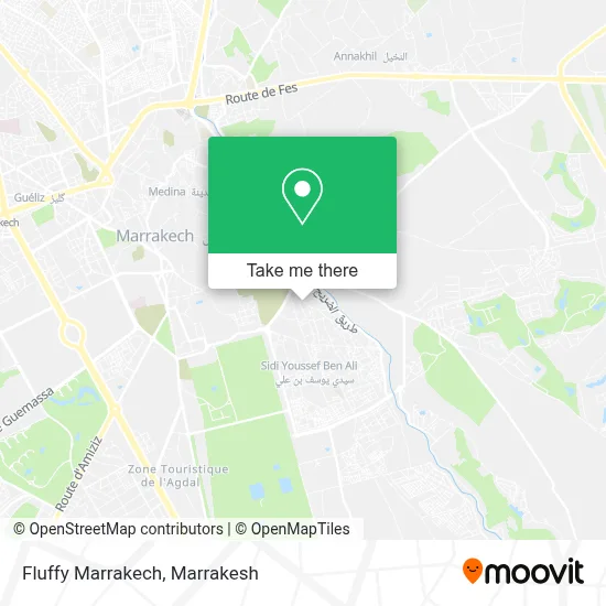 Fluffy Marrakech map