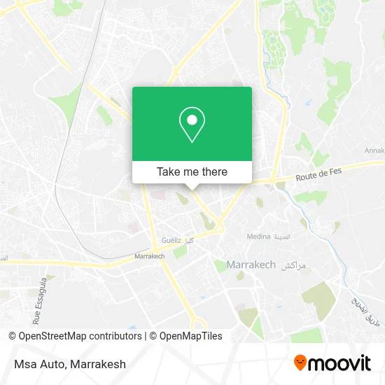Msa Auto map