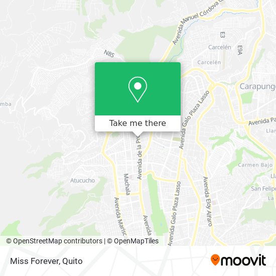 Mapa de Miss Forever