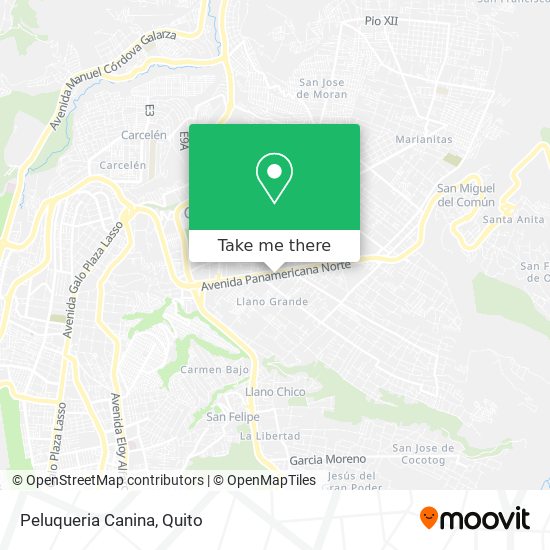 Peluqueria Canina map