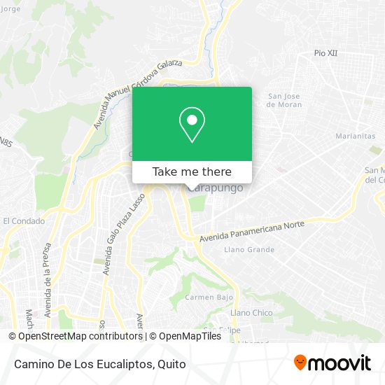 Camino De Los Eucaliptos map
