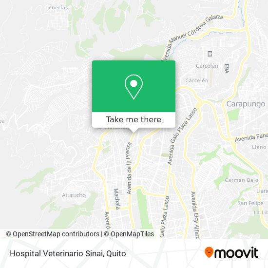 Hospital Veterinario Sinai map