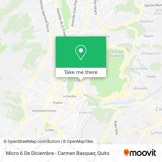 Mapa de Micro 6 De Diciembre - Carmen Basquez
