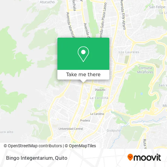 Bingo Integentarium map