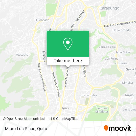 Mapa de Micro Los Pinos