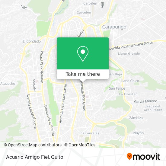 Mapa de Acuario Amigo Fiel