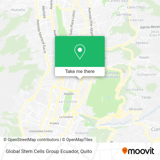 Global Stem Cells Group Ecuador map