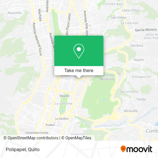 Polipapel map