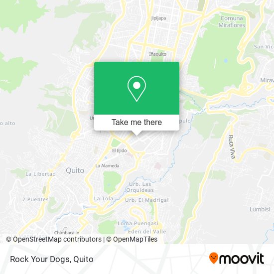 Rock Your Dogs map