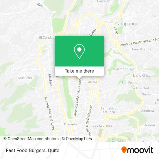 Fast Food Burgers map