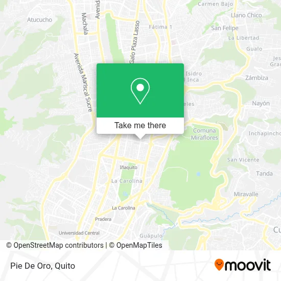 Pie De Oro map
