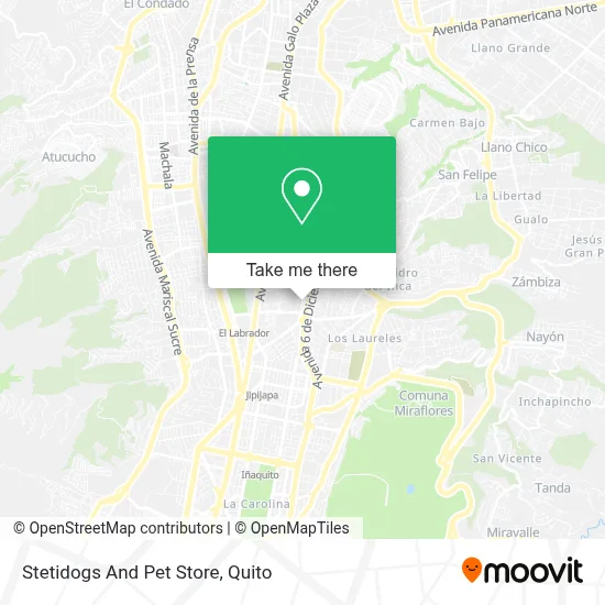 Stetidogs And Pet Store map