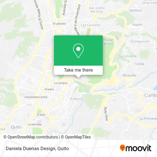 Daniela Duenas Design map