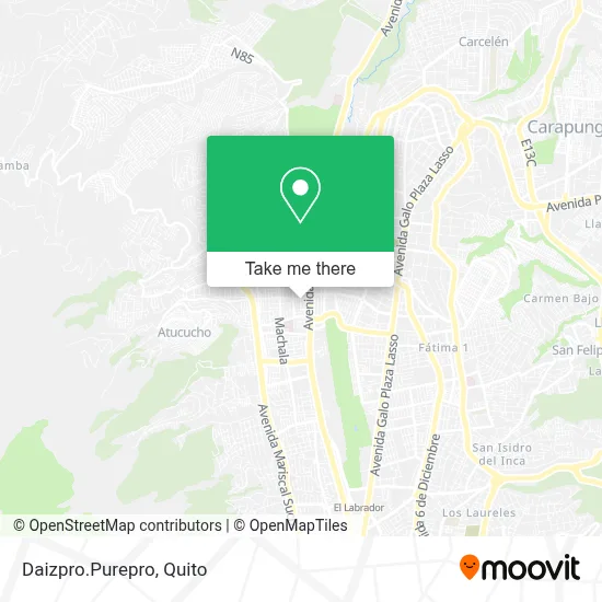 Daizpro.Purepro map