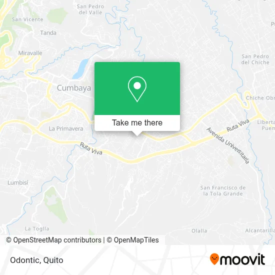 Odontic map