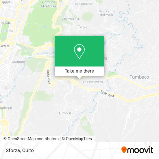Sforza map