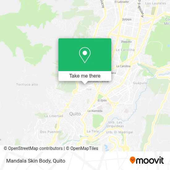 Mandala Skin Body map